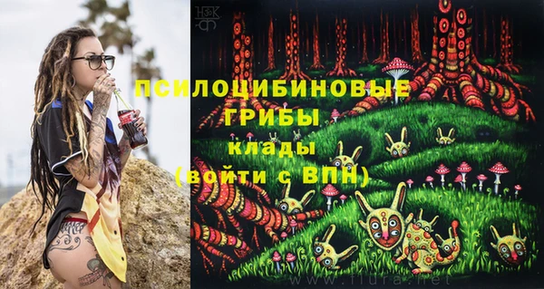 Альфа ПВП Ростов
