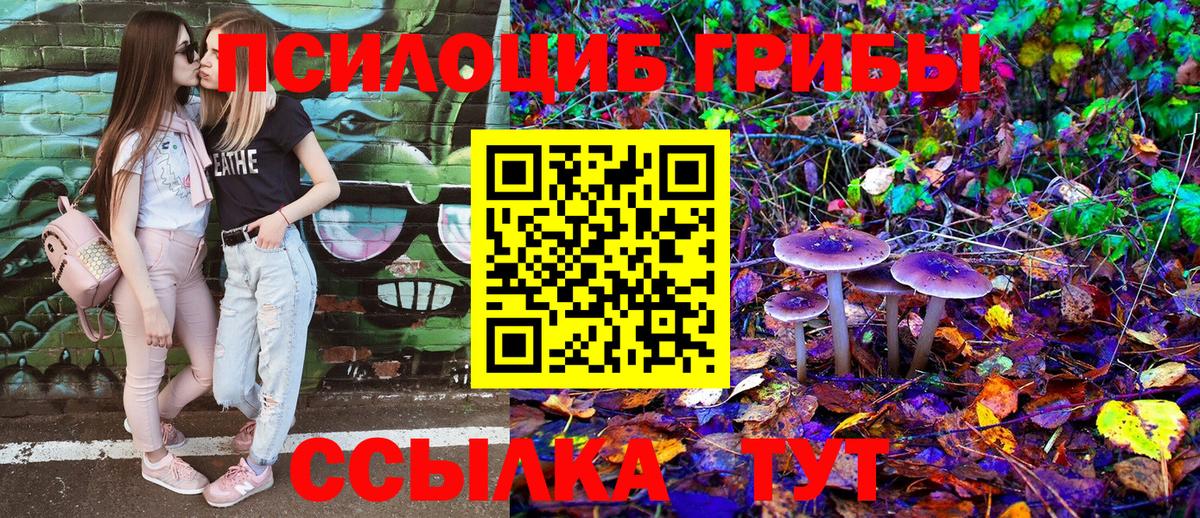 Галлюциногенные грибы мухоморы  Вход с VPN  Псилоцибиновые грибы Cubensis  Великий Устюг 