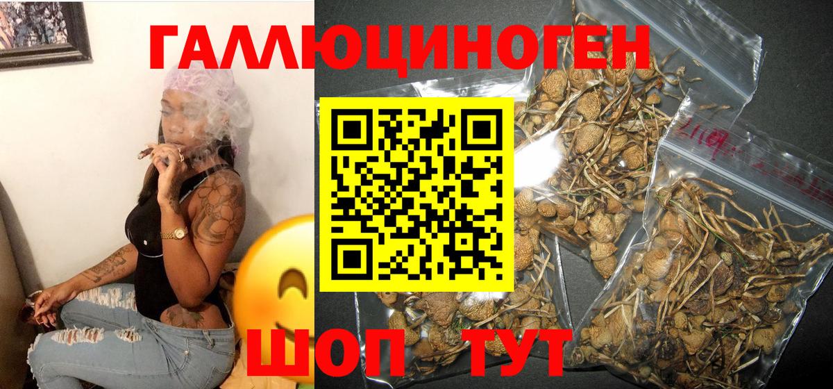 Псилоцибиновые грибы прущие грибы Великий Устюг